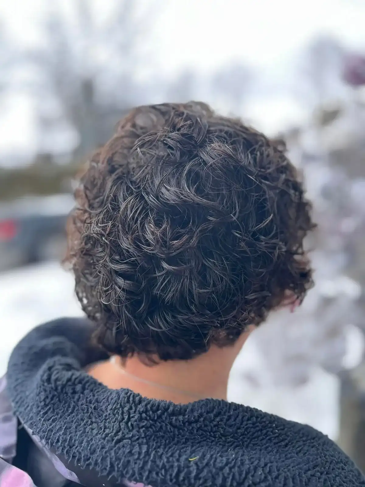 Boucles courtes brunes, vues de dos, dehors en hiver